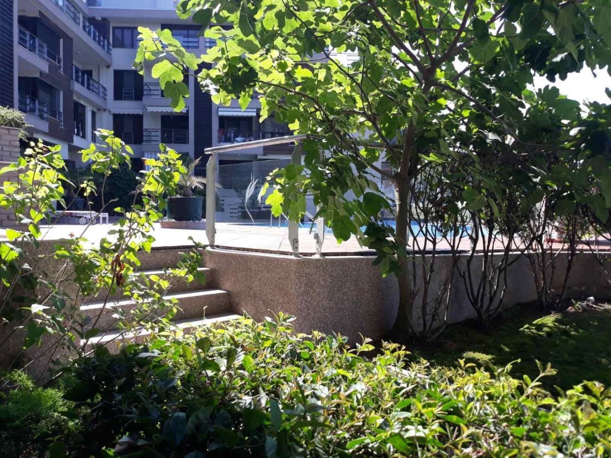 Apartment Sand Lilies 索佐波尔 外观 照片